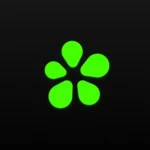 icq android application logo